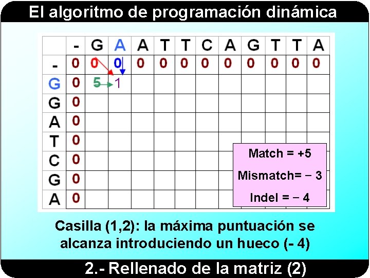 El algoritmo de programación dinámica Match = +5 Mismatch= − 3 Indel = −