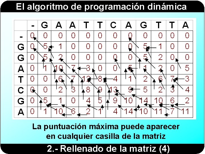 El algoritmo de programación dinámica La puntuación máxima puede aparecer en cualquier casilla de