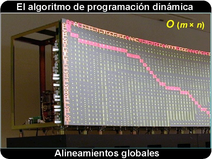 El algoritmo de programación dinámica O (m × n) Alineamientos globales 