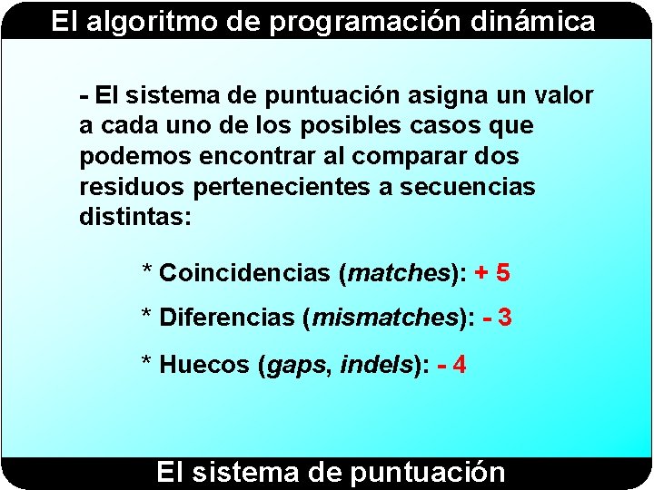 El algoritmo de programación dinámica - El sistema de puntuación asigna un valor a