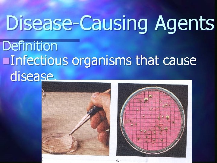Disease-Causing Agents Definition n. Infectious organisms that cause disease. 