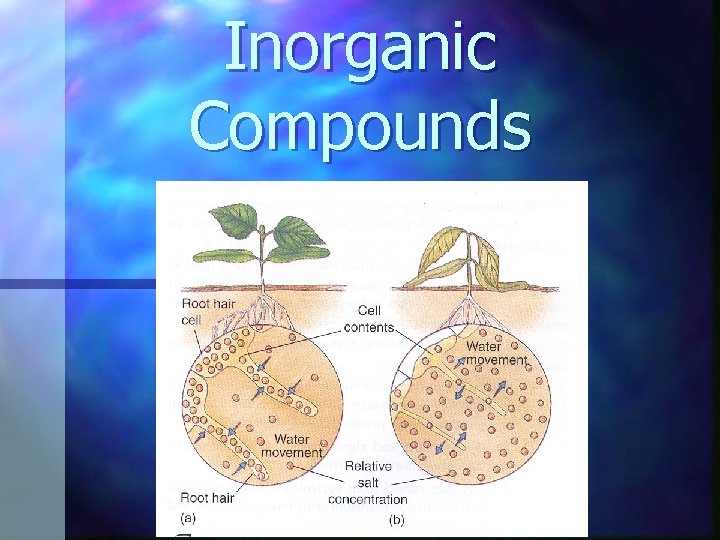 Inorganic Compounds 