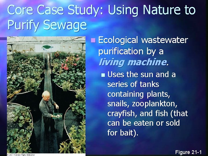 Core Case Study: Using Nature to Purify Sewage n Ecological wastewater purification by a