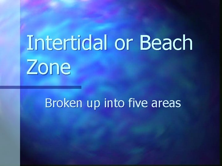 Intertidal or Beach Zone Broken up into five areas 