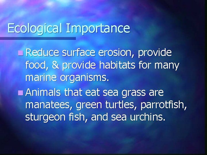 Ecological Importance n Reduce surface erosion, provide food, & provide habitats for many marine