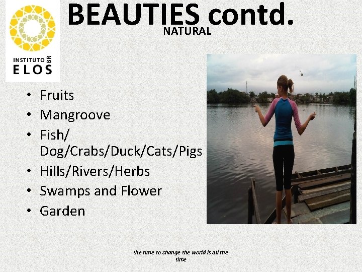 BEAUTIES contd. NATURAL • Fruits • Mangroove • Fish/ Dog/Crabs/Duck/Cats/Pigs • Hills/Rivers/Herbs • Swamps