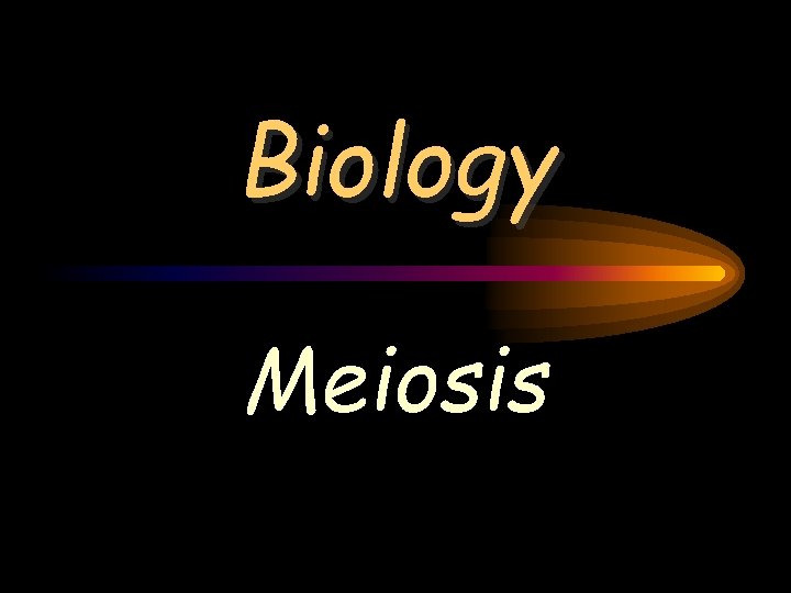 Biology Meiosis 