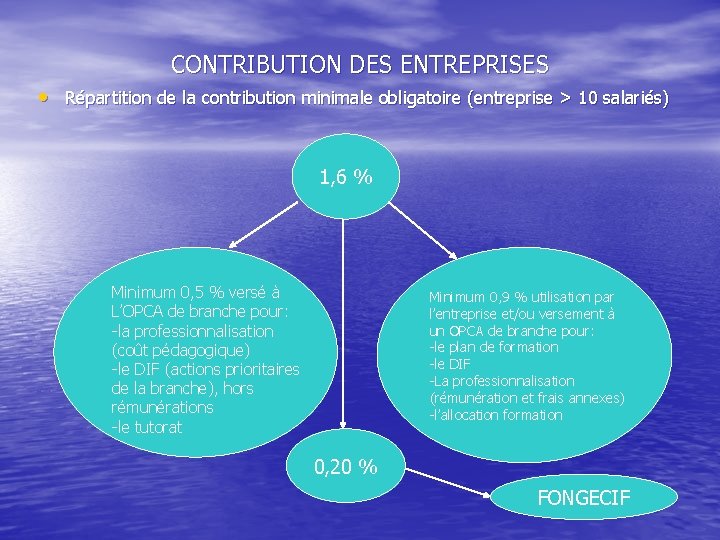 CONTRIBUTION DES ENTREPRISES • Répartition de la contribution minimale obligatoire (entreprise > 10 salariés)