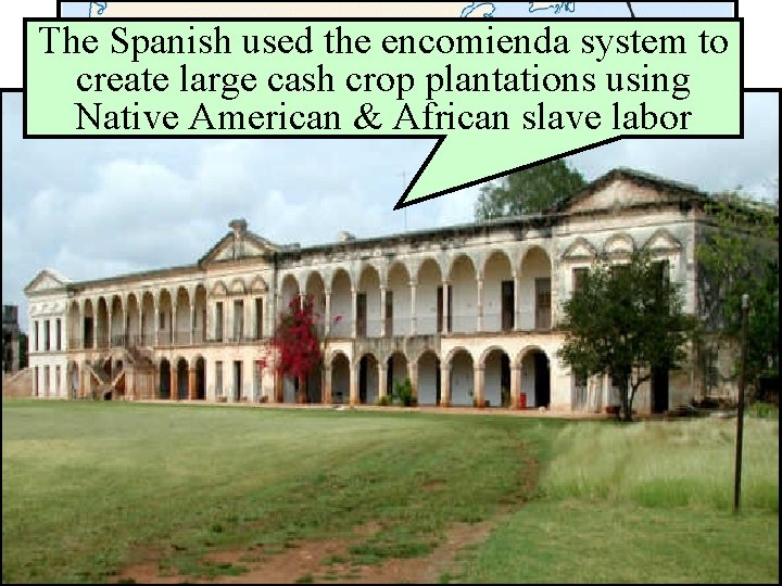 The Spanish used the encomienda system to Conquests & Colonies create large cash crop