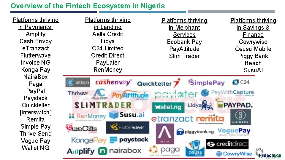 Overview of the Fintech Ecosystem in Nigeria Platforms thriving in Payments: Amplify Cash Envoy