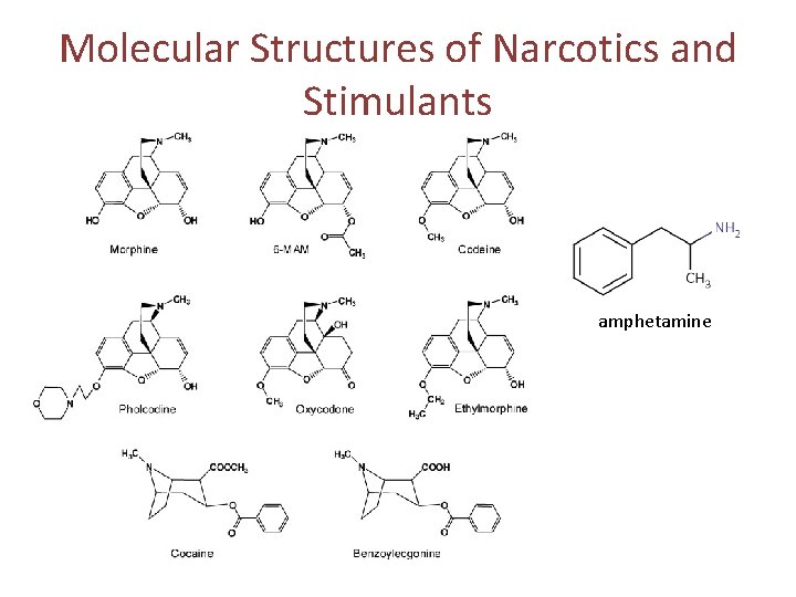 Molecular Structures of Narcotics and Stimulants amphetamine 