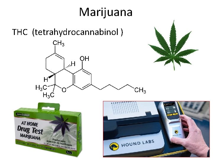 Marijuana THC (tetrahydrocannabinol ) 