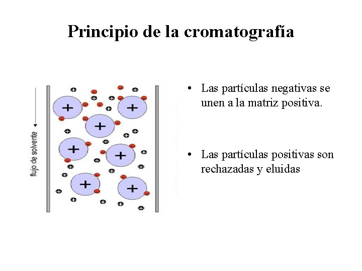 Principio de la cromatografía • Las partículas negativas se unen a la matriz positiva.