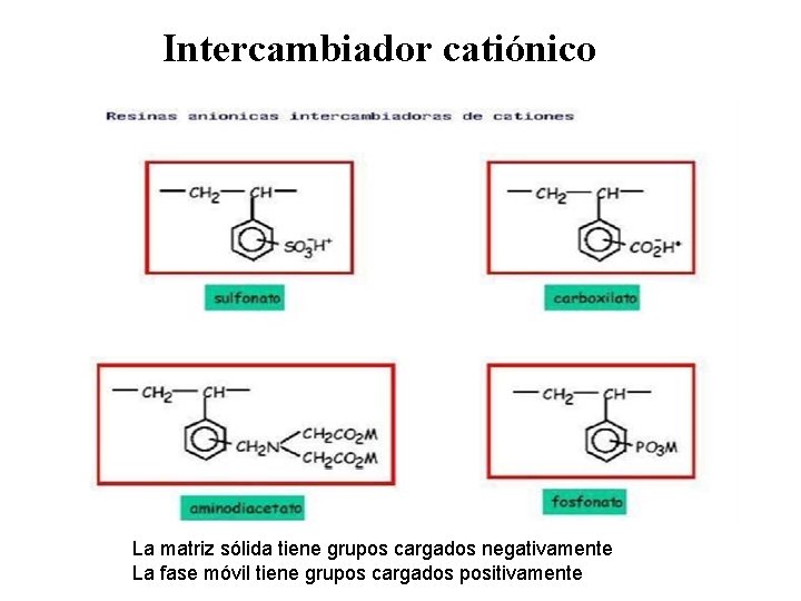 Intercambiador catiónico La matriz sólida tiene grupos cargados negativamente La fase móvil tiene grupos