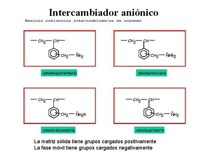 Intercambiador aniónico La matriz sólida tiene grupos cargados positivamente La fase móvil tiene grupos