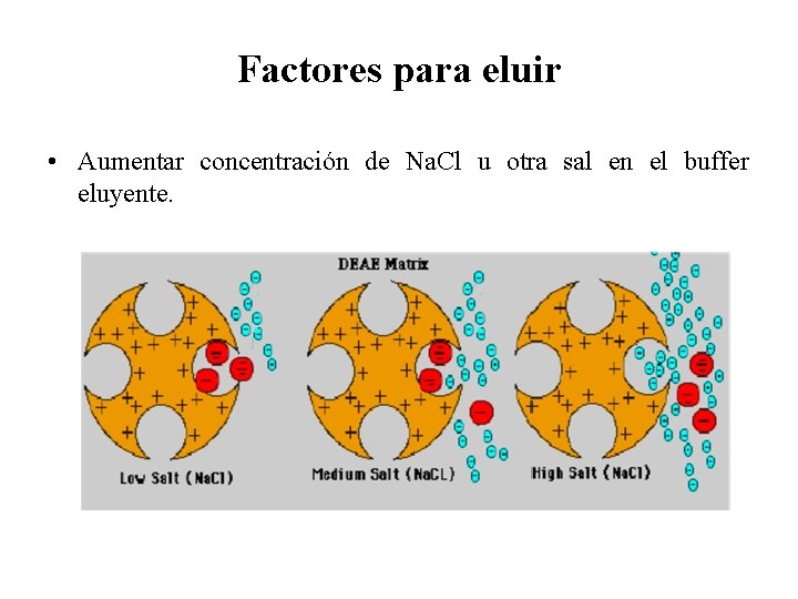 Factores para eluir • Aumentar concentración de Na. Cl u otra sal en el