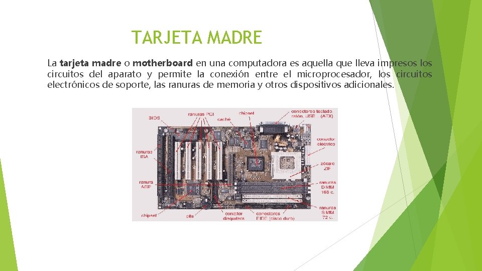 TARJETA MADRE La tarjeta madre o motherboard en una computadora es aquella que lleva