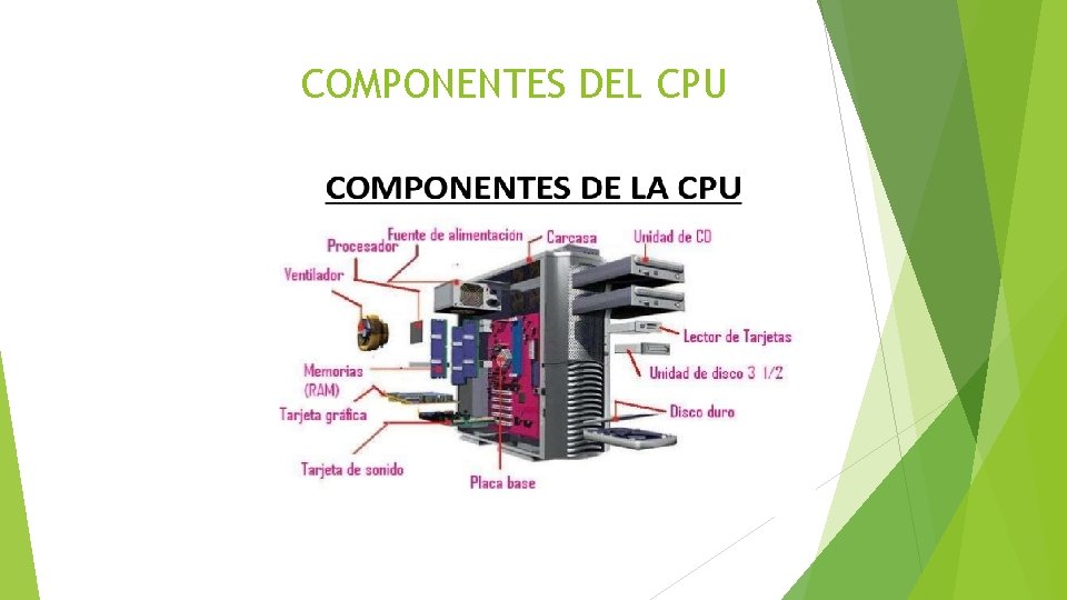 COMPONENTES DEL CPU 