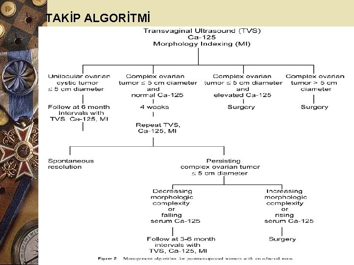 TAKİP ALGORİTMİ 