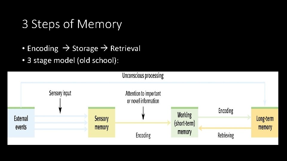 3 Steps of Memory • Encoding Storage Retrieval • 3 stage model (old school):