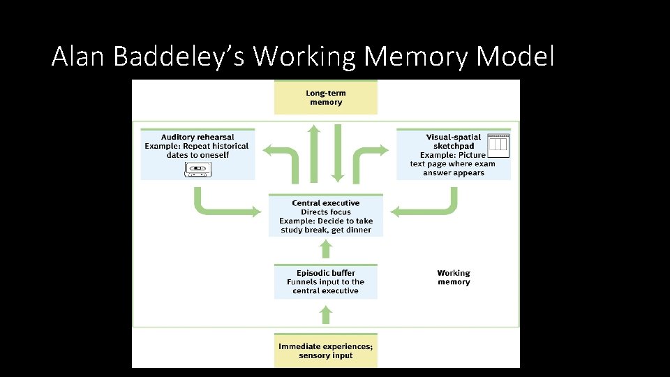 Alan Baddeley’s Working Memory Model 