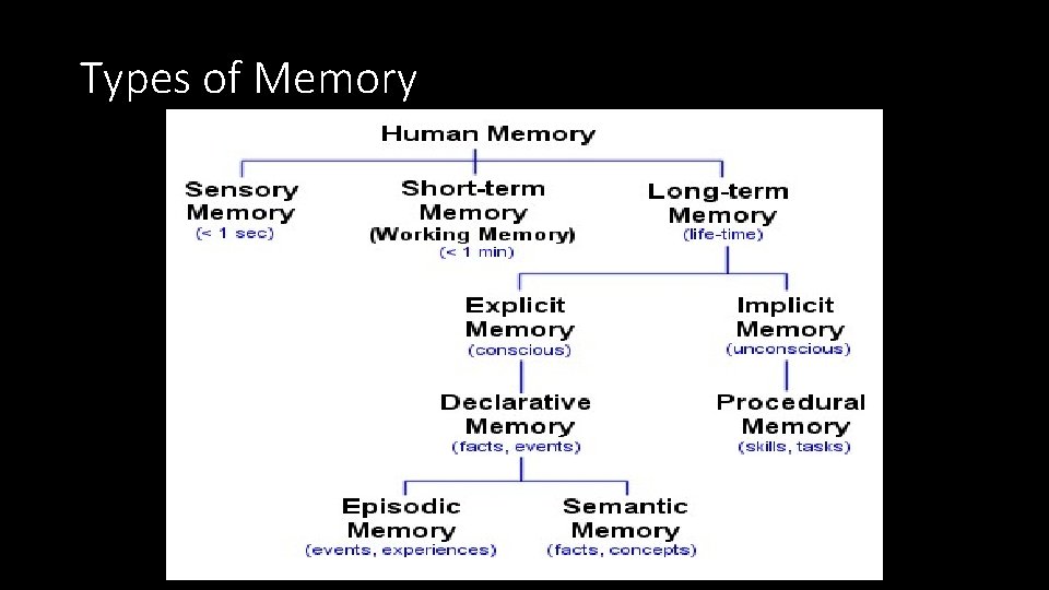 Types of Memory 