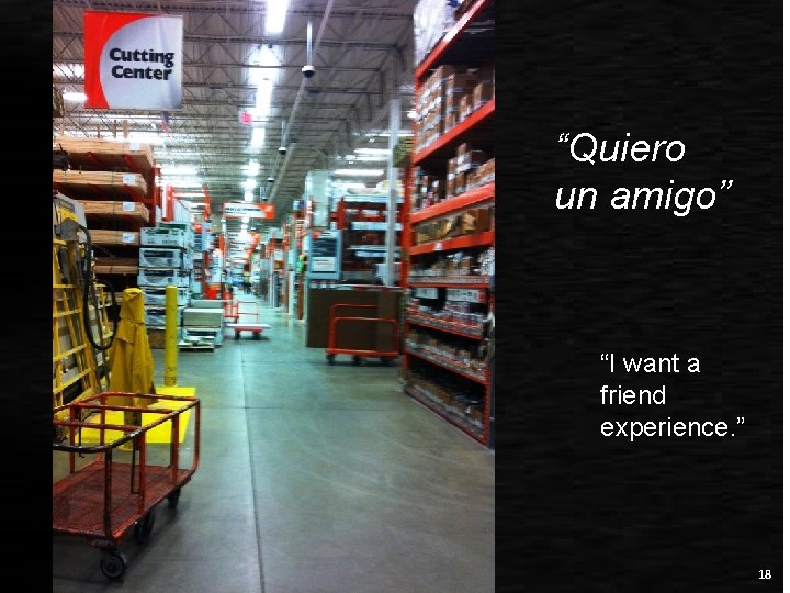“Quiero un amigo” “I want a friend experience. ” 18 