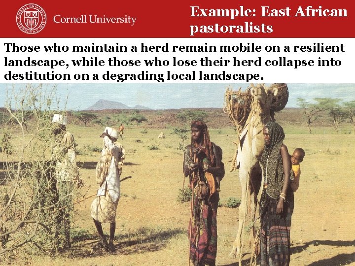 Example: East African pastoralists Those who maintain a herd remain mobile on a resilient