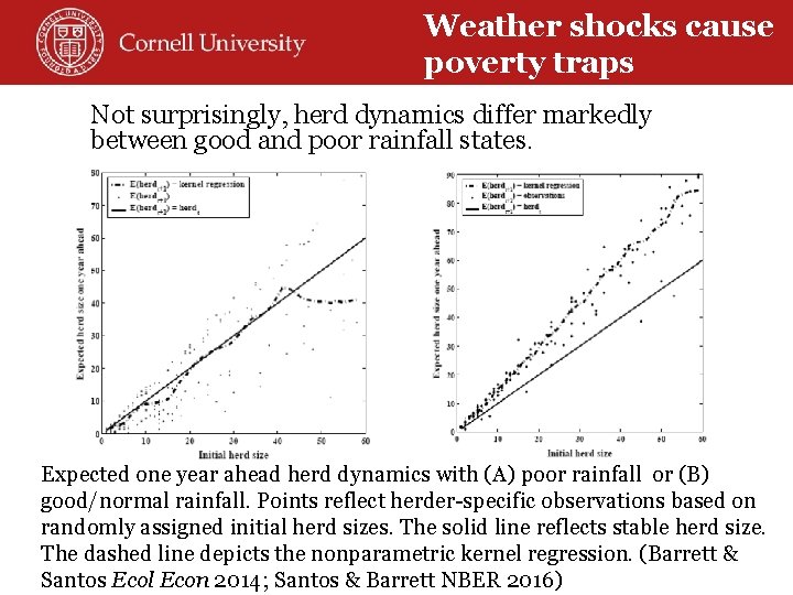 Weather shocks cause poverty traps Not surprisingly, herd dynamics differ markedly between good and
