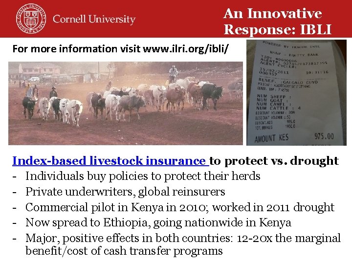 An Innovative Response: IBLI For more information visit www. ilri. org/ibli/ Index-based livestock insurance