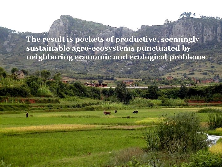 The result is pockets of productive, seemingly sustainable agro-ecosystems punctuated by neighboring economic and