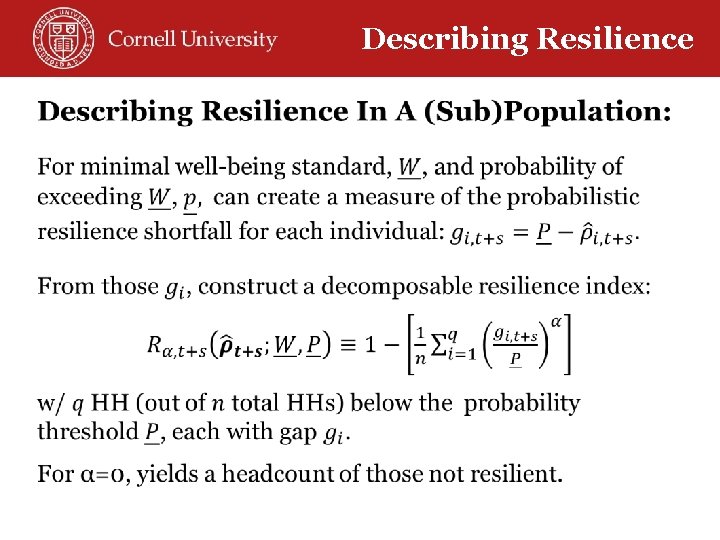 Describing Resilience 