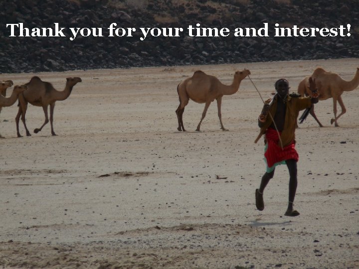 Thank you for your time and interest! 