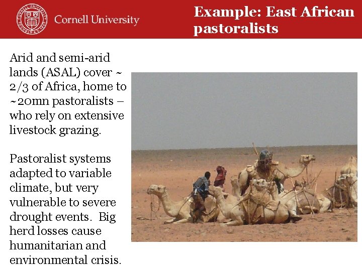 Example: East African pastoralists Arid and semi-arid lands (ASAL) cover ~ 2/3 of Africa,