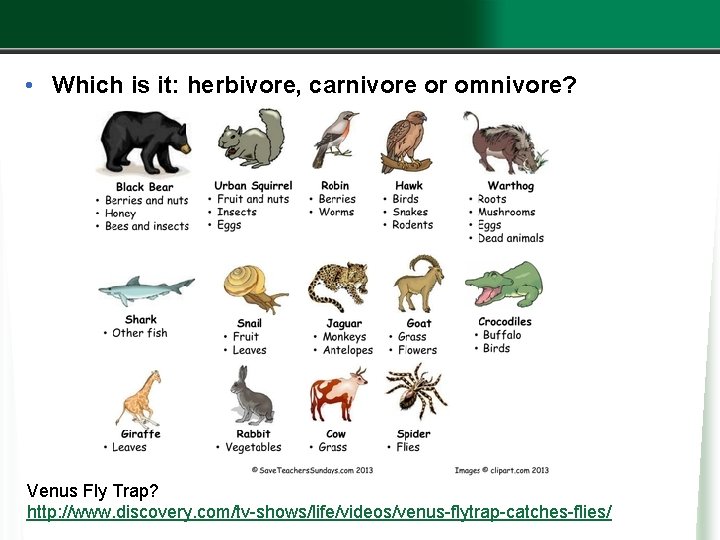  • Which is it: herbivore, carnivore or omnivore? Venus Fly Trap? http: //www.
