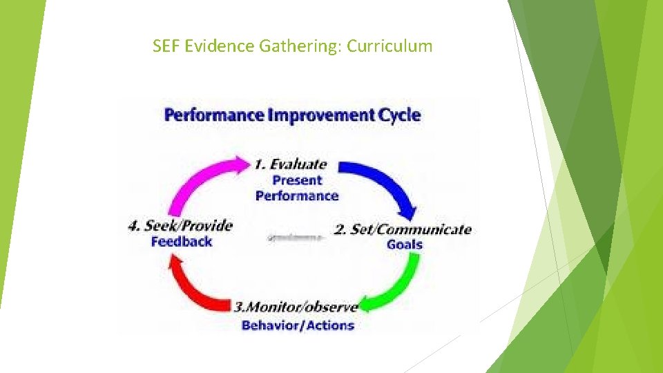 SEF Evidence Gathering: Curriculum SEF Evidence Gathering: Curriculum