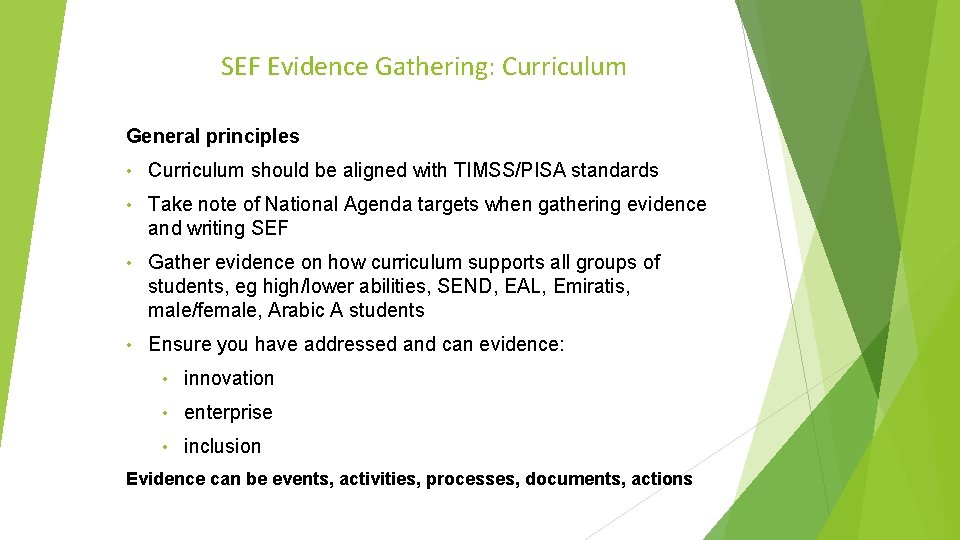SEF Evidence Gathering: Curriculum General principles • Curriculum should be aligned with TIMSS/PISA standards SEF Evidence Gathering: Curriculum General principles • Curriculum should be aligned with TIMSS/PISA standards