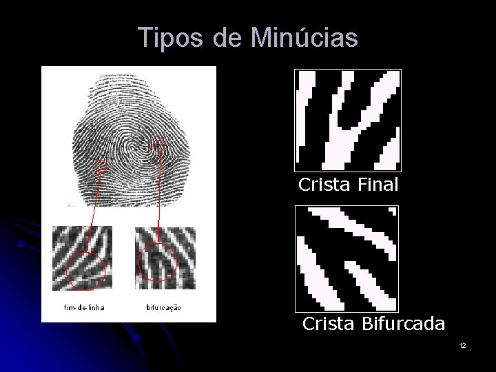 Tipos de Minúcias Crista Final Crista Bifurcada 12 