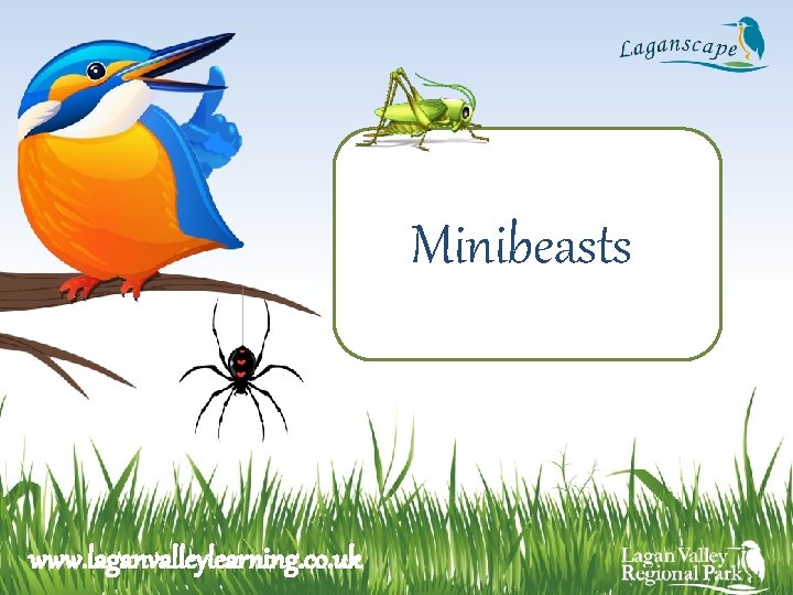 Minibeasts www. laganvalleylearning. co. uk 