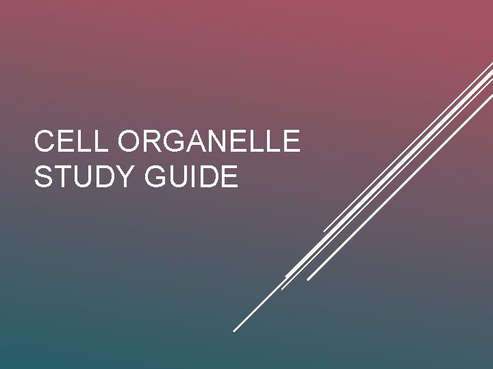 CELL ORGANELLE STUDY GUIDE 