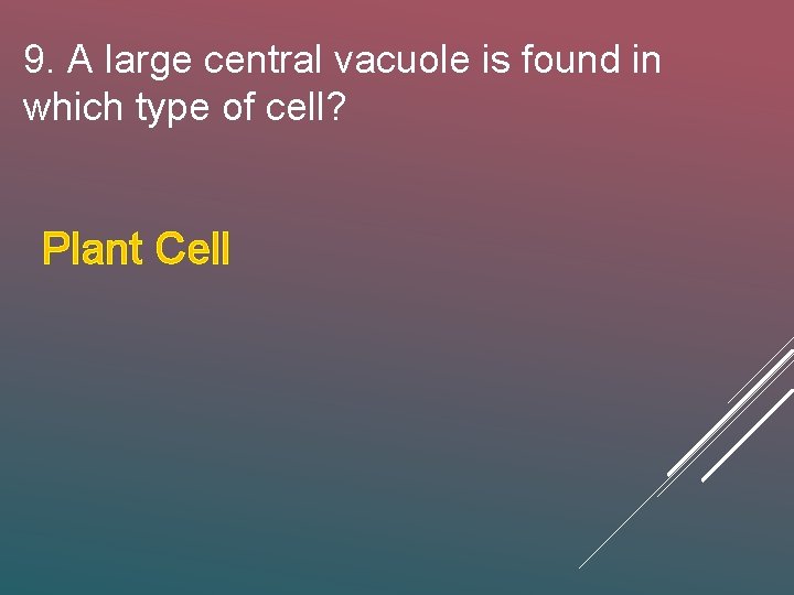 9. A large central vacuole is found in which type of cell? Plant Cell