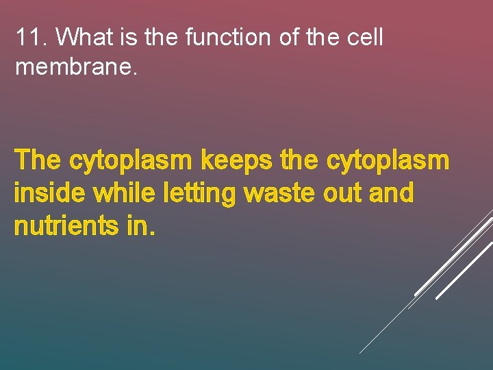 11. What is the function of the cell membrane. The cytoplasm keeps the cytoplasm