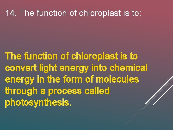 14. The function of chloroplast is to: The function of chloroplast is to convert