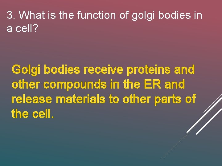 3. What is the function of golgi bodies in a cell? Golgi bodies receive