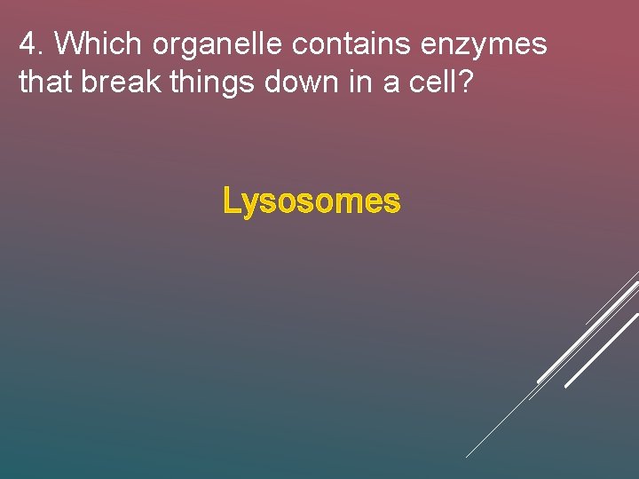 4. Which organelle contains enzymes that break things down in a cell? Lysosomes 