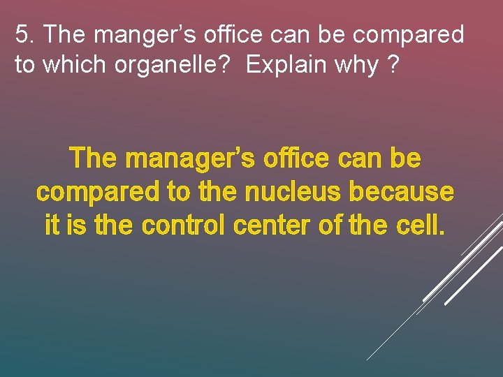 5. The manger’s office can be compared to which organelle? Explain why ? The