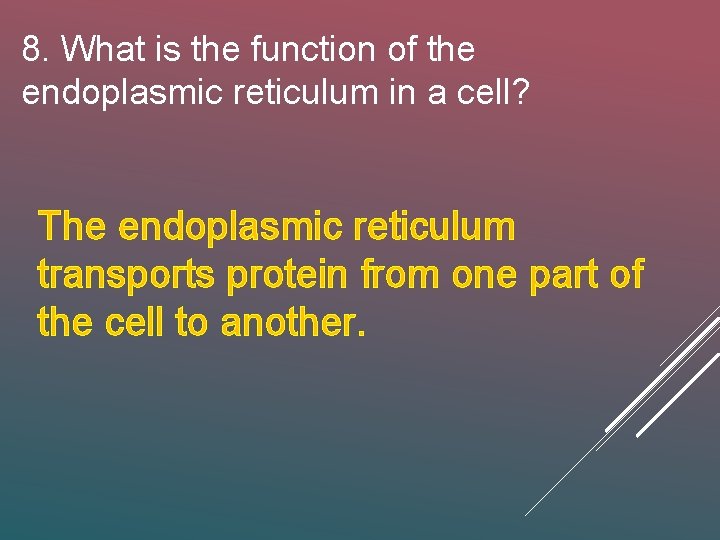 8. What is the function of the endoplasmic reticulum in a cell? The endoplasmic