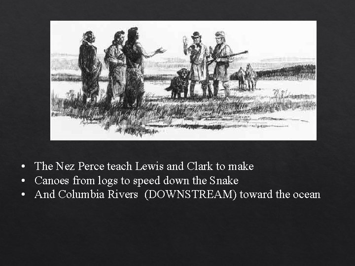  • The Nez Perce teach Lewis and Clark to make • Canoes from