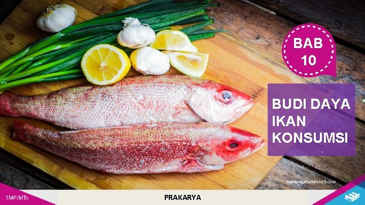 BAB 10 BUDI DAYA IKAN KONSUMSI Sumber: shutterstock. com PRAKARYA 