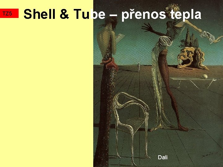 TZ 5 Shell & Tube – přenos tepla Dali 